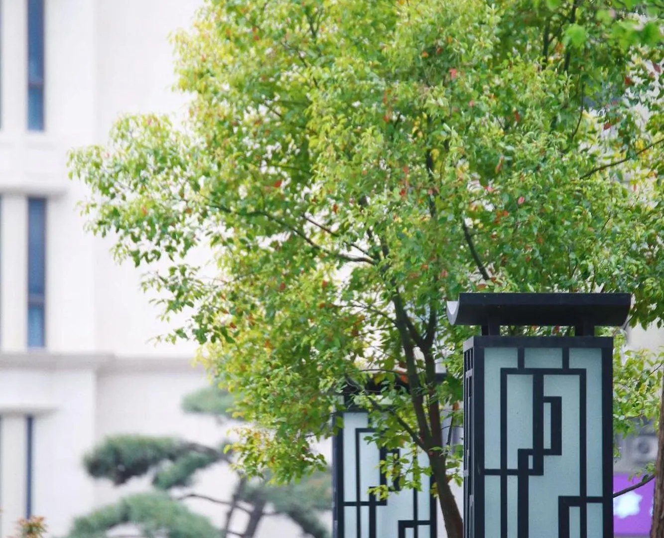 Holiday Inn Zhengzhou Zhongzhou By Ihg